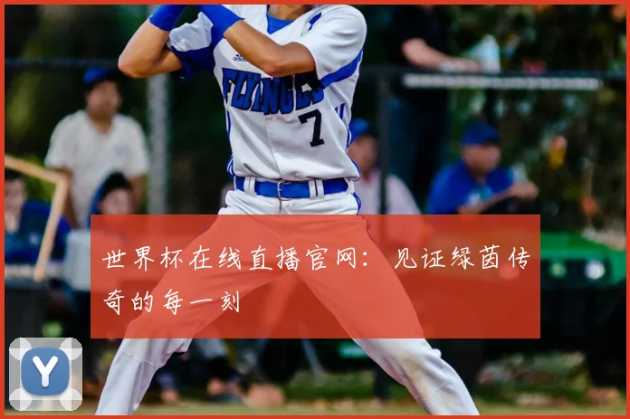 世界杯在线直播官网：见证绿茵传奇的每一刻