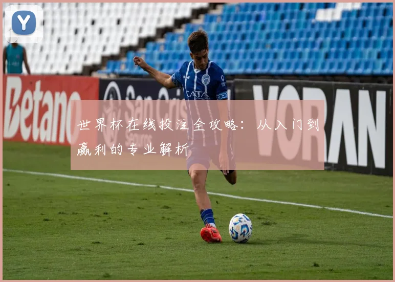 世界杯在线投注全攻略：从入门到赢利的专业解析